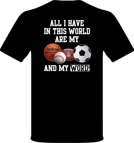 All I Have In This World Are My Basketball , baseball, football , soccer ball And My Word T-shirt