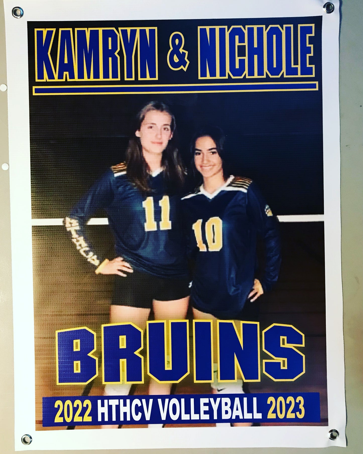 Seniors Volleyball Banner